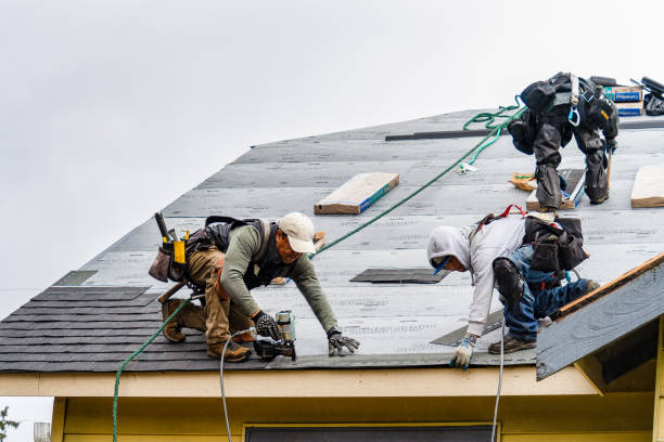 Professional Storm Damage Roof Repair technician working in Georgetown, CA